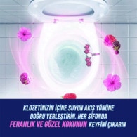 Domestos WC Blok Hibiskus ve Kırmızı Meyveler 100 g