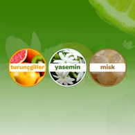 Dalin Orman Esintisi Bebek Kolonyası 150 ml