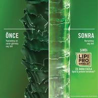 OGX Şampuan Rosemary Mint 385 ml