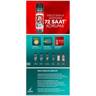 REXONA REXONA Rexona Men Erkek Sprey Deodorant Champions 72 Saat Kesintisiz Üstün Koruma 150 ml 1 of 9