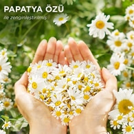 Herbal Essences Papatya Serisi Şampuan 350 ml