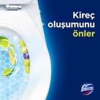 Domestos WC Blok Limon Bahçesi 100 g