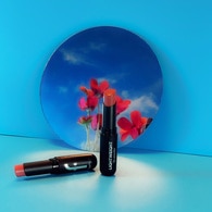 Flormar Lightweight Lip Powder Ultra Hafif Mat Ruj No: 005