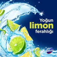 Domestos WC Blok Limon Bahçesi 100 g