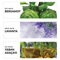Avon TTA Today Erkek EDT 75 ml