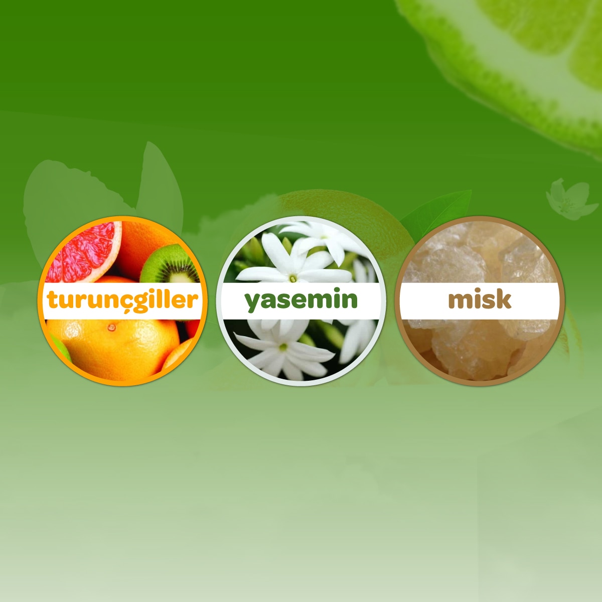 DALİN DALİN Dalin Orman Esintisi Bebek Kolonyası 150 ml 1 of 5