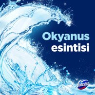 Domestos WC Blok Okyanus Esintisi 100 g