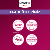 Palette Deluxe Saç Boyası 4-99 Patlıcan Moru