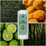 REBUL REBUL Rebul Kolonya Pine Forest 250 ml 1 of 3