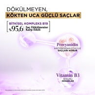 Bioblas Procyanidin Yağlanma ve Dökülme Karşıtı Şampuan 360 ml
