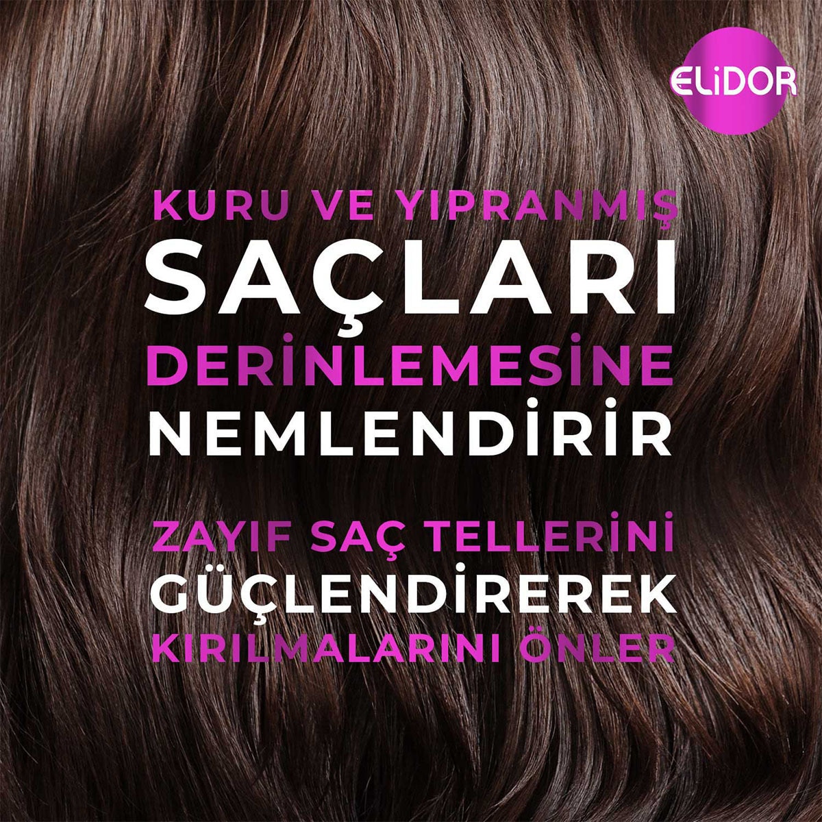  ELİDOR ELİDOR Elidor Şampuan Avokado & Castor Yağı 400 ml  1 of 7 