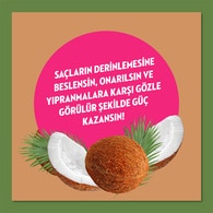 Elidor Doğanın Enerjisi Şampuan Hindistan Cevizi 400 ml
