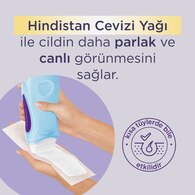 Sesu Sir Ağda Hindindistan Cevizi Roll-On 100 ml
