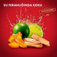  OLD SPICE OLD SPICE Old Spice Whitewater Deodorant 70 ml  1 of 11 