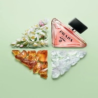 Prada Paradoxe Edp 90 ml & Edp 10 ml & Vücut Losyon 50 ml Set