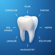  ORAL-B ORAL-B Oral-B Pro Expert Hassas Beyazlık 75 ml  1 of 12 