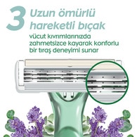 Bic Soleil Escape 3 Bıçaklı Lavanta & Okaliptüs 3'lü Paket
