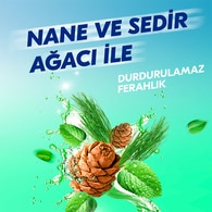 Rexona Men Erkek Sprey Deodorant Natural Fresh Mint 72 Saat Kesintisiz Üstün Koruma 150 ml