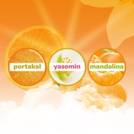Dalin Kolonya Turunç Bahçesi 150 ml