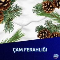 DOMESTOS DOMESTOS Domestos Köpük Gücü Çam Ferahlığı 450 ml 1 of 9