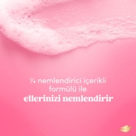 Dove Sugar Cookie Sıvı Sabun 450 ml