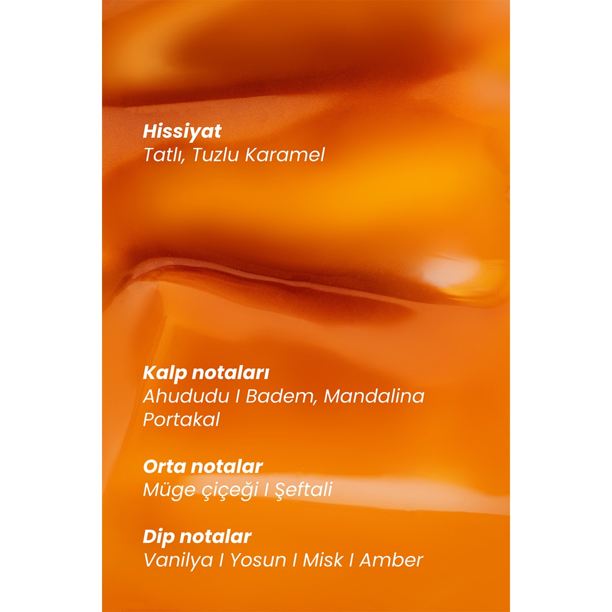 MATSU PROFESSIONAL MATSU PROFESSIONAL Matsu Saç Parfümü Salted Spirit 50 ml 1 of 6