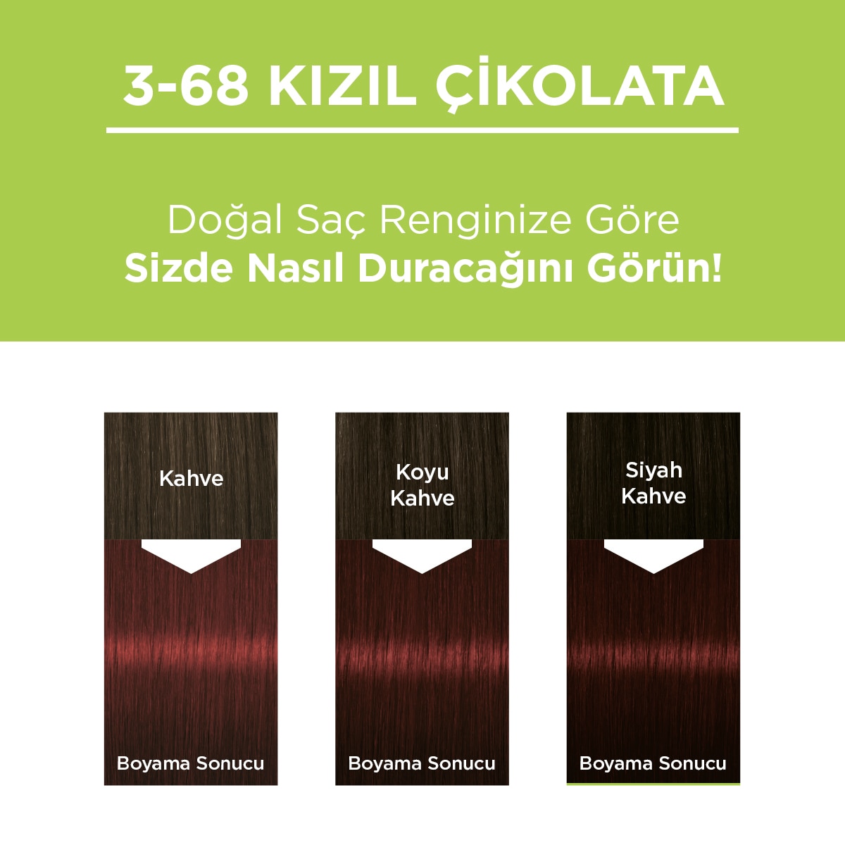 PALETTE NATURAL COLORS PALETTE NATURAL COLORS Palette Kalıcı Doğal Renkler Saç Boyası 3-68 Kızıl Çikolata 1 of 10