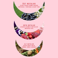 Watsons Pure Illusion Kadın Parfüm Edt 85 ml