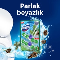 Domestos WC Block Çam Ormanı 100 g