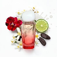Imprime IMPRİME Imprime Muse Bloom Kadın EDP Parfüm 50 ml 1 of 7