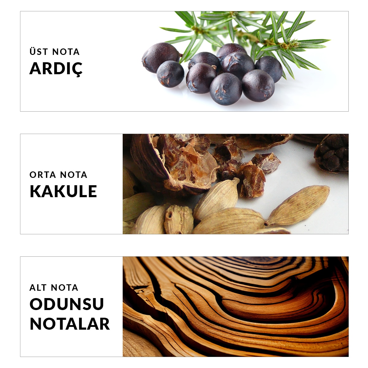 AVON AVON Avon Elite Gentleman Erkek EDT 75 ml 1 of 4