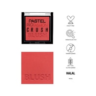 Pastel Profashion Crush Allık No: 304
