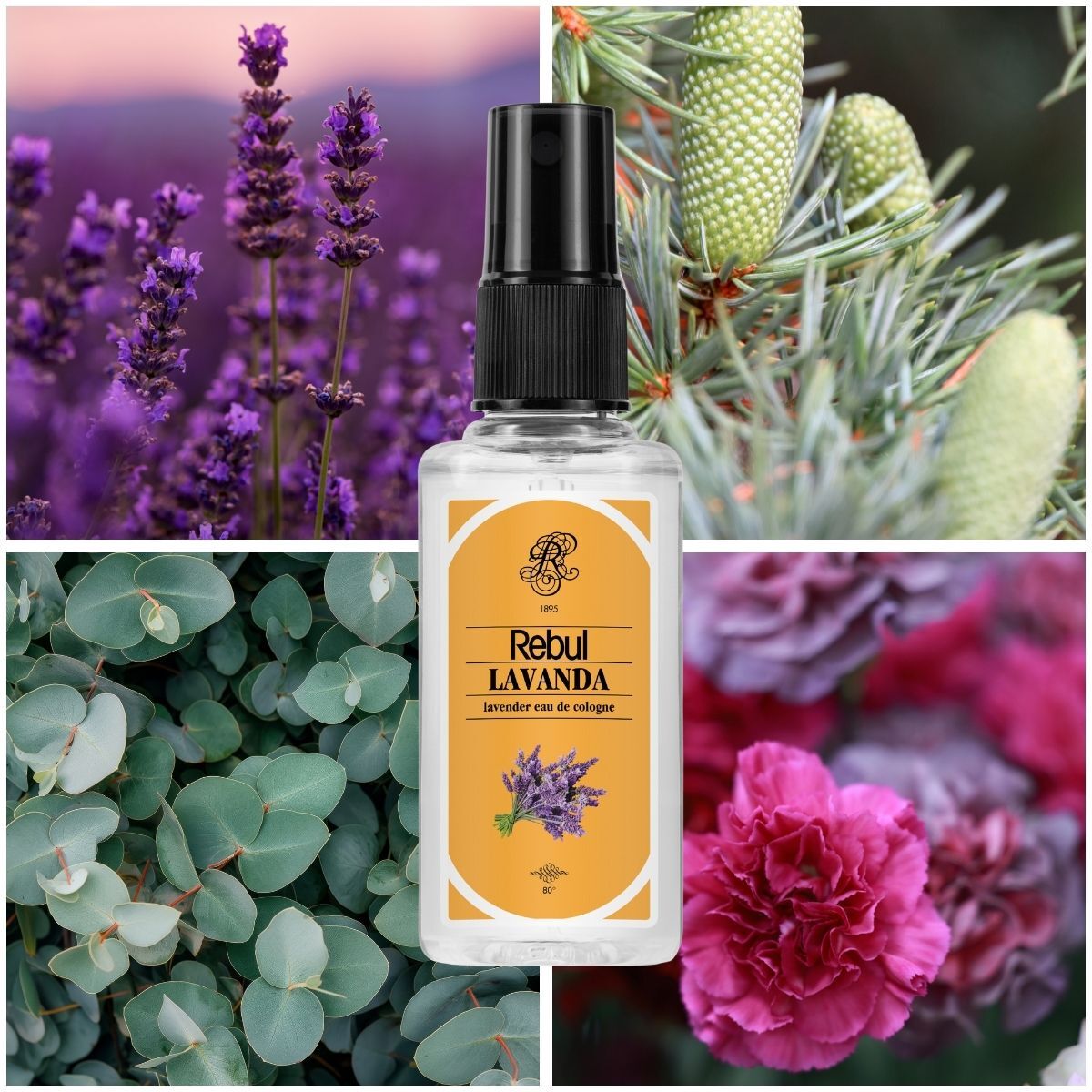  REBUL REBUL Rebul Lavanda Kolonya 50 ml  1 of 2 