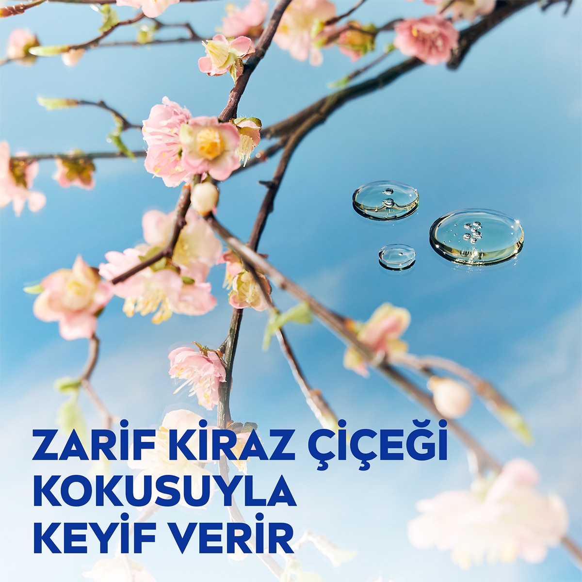 NIVEA BODY NIVEA BODY Nivea Kiraz Çiçeği ve Jojoba Yağı Vücut Losyonu 400 ml Normal ve Kuru Ciltler 24 Saat Nemlendirme 1 of 7