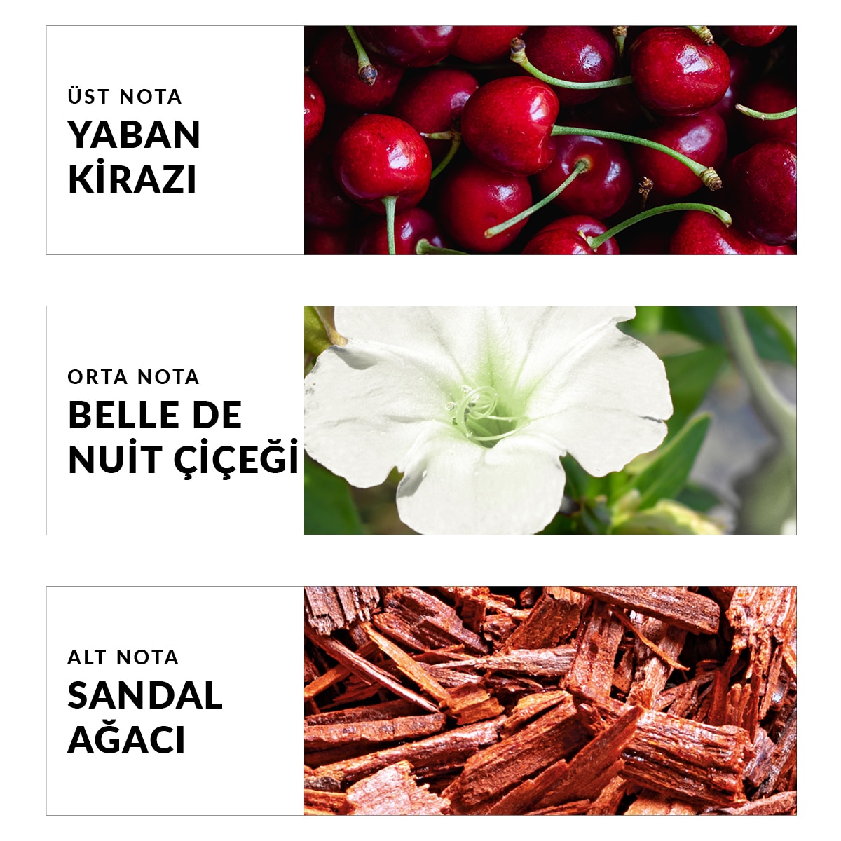 AVON AVON Avon Far Away Beyond The Moon Kadın EDP Parfüm 50 ml 1 of 4