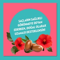 Elidor Doğanın Enerjisi Şampuan Argan&Hibiskus 400 ml