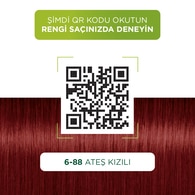 Palette Kalıcı Doğal Renkler 6-88 Ateş Kızılı