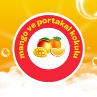 Dalin Geleceğin Yıldızı Mango Köpük Sabun 200 ml