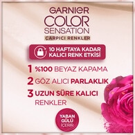 Garnier Çarpıcı Renkler Saç Boyası Yoğun Koyu Kızıl No: 4,60