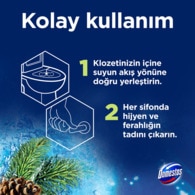 Domestos WC Block Çam Ormanı 100 g