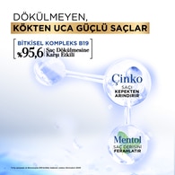 Bioblas Procyanidin Kepek ve Dökülme Karşıtı Şampuan 360 ml