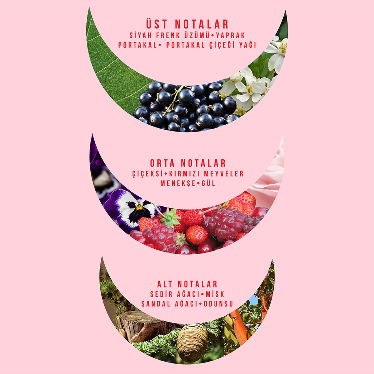  WATSONS WATSONS Watsons Pure Illusion Kadın Parfüm EDT 85 ml  1 of 3 