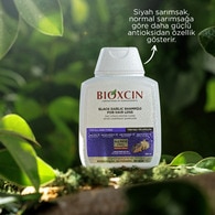 Bioxcin Siyah Sarımsak Şampuan 300 ml