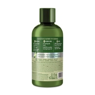 Naturals By Watsons Olive Şampuan 100 ml