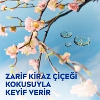 NIVEA BODY NIVEA BODY Nivea Kiraz Çiçeği ve Jojoba Yağı Vücut Losyonu 400 ml Normal ve Kuru Ciltler 24 Saat Nemlendirme 1 of 7