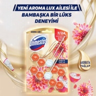 Domestos WC Blok Yıldız Çiçeği ve Ejder Meyvesi 100 g