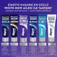 Signal White Now Color Correct Diş Macunu 75 ml