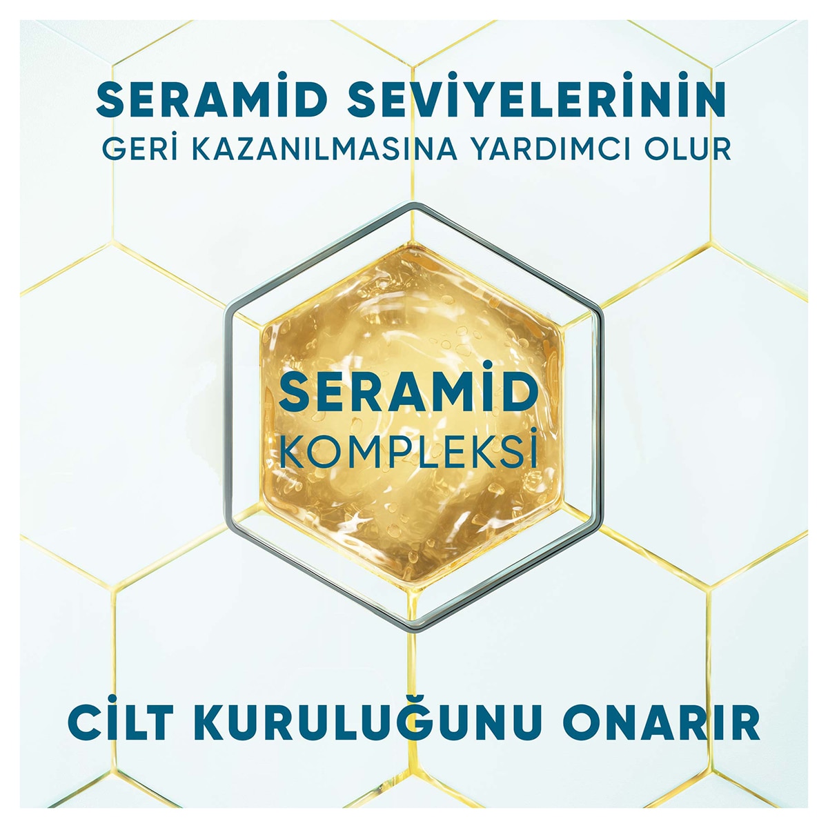  HEAD&SHOULDERS HEAD&SHOULDERS Head&Shoulders DermaXPRO Onarıcı Nemlendirme Kepek Karşıtı Şampuan Hindistan Cevizi Yağı ve Seramid 300 ml  1 of 5 