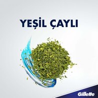 Gillette Series Tıraş Jeli Hassas Yeşil Çay 200 ml