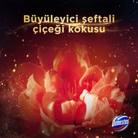  DOMESTOS DOMESTOS Domestos Wc Blok Şeftali Çiçeği 2x50 g  1 of 9 